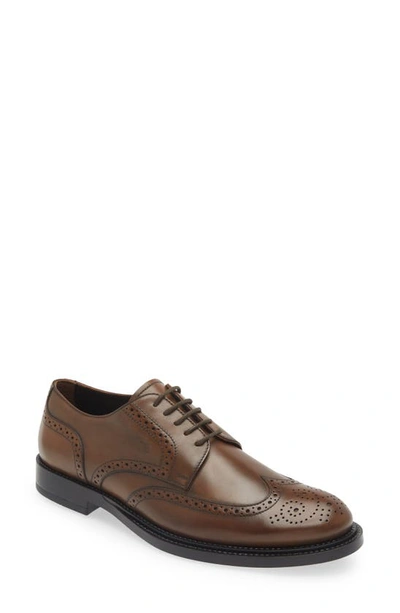 Tod's Derby Bucature Leather Loafers In Cacao