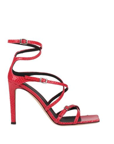 Giuseppe Zanotti Woman Sandals Red Size 9 Soft Leather