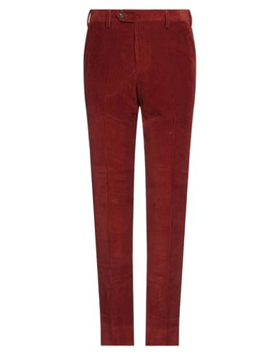 Pal Zileri Man Pants Burgundy Size 42 Cotton In Red