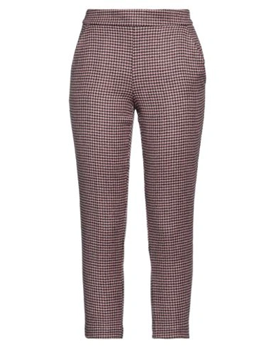 Carla G. Woman Pants Pink Size 10 Virgin Wool, Polyamide, Viscose, Cashmere, Elastane