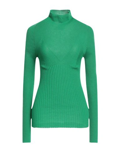 Erika Cavallini Woman Turtleneck Green Size L Virgin Wool In Green