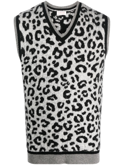Fursac Cheetah-print Knitted Vest In Grey