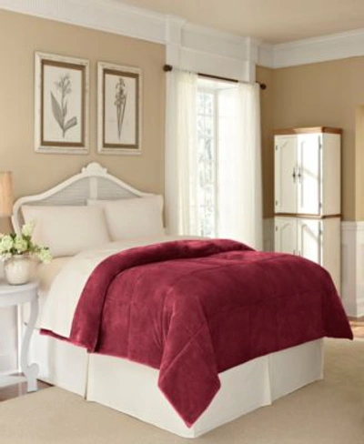 Vellux Luxury Plush Blanket Bedding In Plum