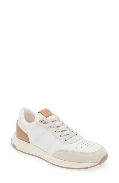Tod's Lace-up Sneakers In White
