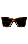 Saint Laurent Blaze Cat-eye Acetate Sunglasses In Brown