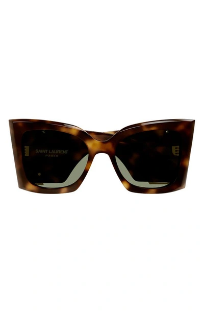 Saint Laurent Blaze Cat-eye Acetate Sunglasses In Brown