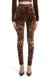 DOLCE & GABBANA HIGH WAIST LEOPARD PRINT COTTON BLEND LEGGINGS