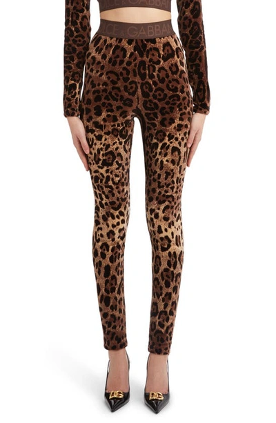 Dolce & Gabbana High Waist Leopard Print Cotton Blend Leggings