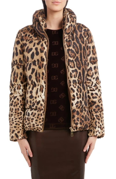 Dolce & Gabbana Leopard Print Stand Collar Puffer Jacket In Multi