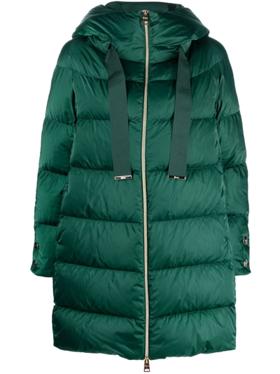 Herno Hooded Feather-down Padded Coat In Verde College