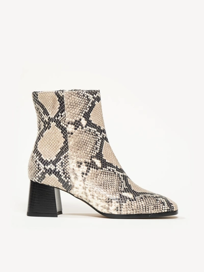 M. Gemi The Cristina In Python Print