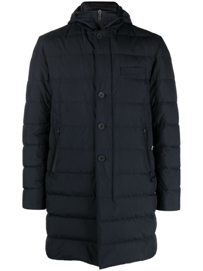 Herno High-neck Padded Coat In Black