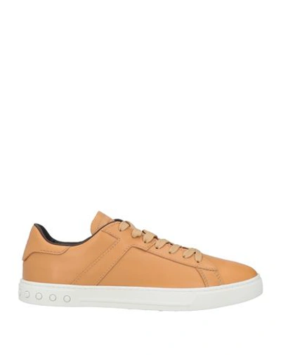 Tod's Man Sneakers Camel Size 8.5 Soft Leather In Beige