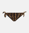 Dolce & Gabbana Leopard-print Bikini Bottoms In Multicoloured