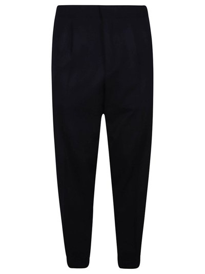 Ermenegildo Zegna Pleated Tapered Trousers In Blue