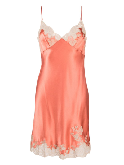 Carine Gilson Calais-caudry Lace-trim Silk Slip Dress In Pink