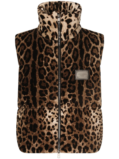 Dolce & Gabbana Logo-plaque Leopard-print Gilet In Brown