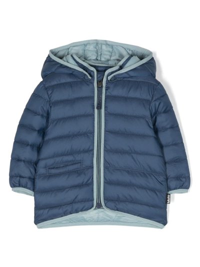 Molo Babies' Harmony Hooded Padded Jacket In Blue