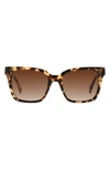 Kate Spade Harlow Polarized Acetate Square Sunglasses In Lt Havana