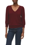 Michael Stars Gabriella V Neck Top In Plum