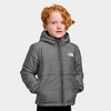 The North Face Babies'  Inc Kids' Toddler Mount Chimbo Reversible Jacket In Grey