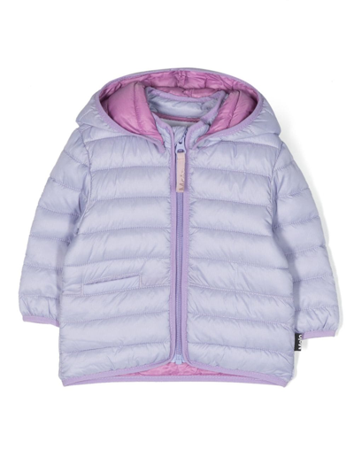 Molo Babies' Harmony Zip-up Padded Jacket In Purple