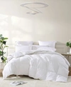 Royal Luxe All Season Warmth White Goose Feather Down Fiber Comforters In White