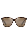 Maui Jim Liquid Sunshine Gradient Polarizedplus2® Round Sunglasses In Tokyo Tortoise