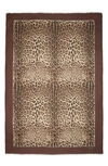 Dolce & Gabbana Leopard Print Signature Border Scarf In Light Brown Print