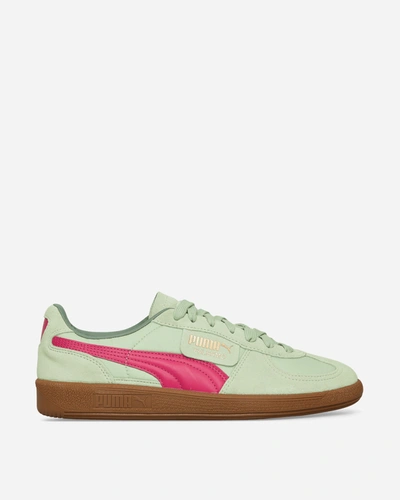 Puma Palermo Og "light Mint/orchid Shadow/gum" Trainers In Multicolor
