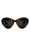 Loewe 55mm Cat Eye Sunglasses In Dark Havana / Smoke