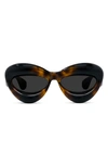 Loewe 55mm Cat Eye Sunglasses In Dark Havana