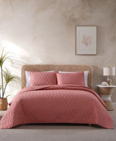 Tommy Bahama Home Maritime Quilt Sets Bedding In Rose Coral