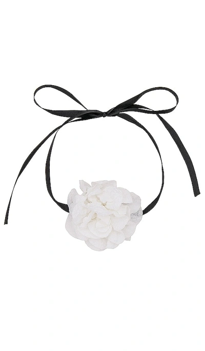 8 Other Reasons Choker Bloom In White