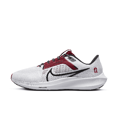 Nike Men's Pegasus 40 (stanford) Road Running Shoes In White
