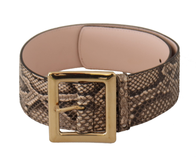 Dolce & Gabbana Beige Exotic Leather Wide Gold Metal Buckle Belt In Brown