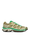 Salomon Xt-6 Sneaker In Dried Herb  Deep Lichen Green  & Bright 