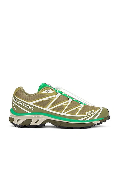 Salomon Xt-6 Sneaker In Dried Herb/deep Lichen Green/bright Green