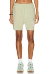 Museum Of Peace And Quiet Warped Sweat Shorts In Sage