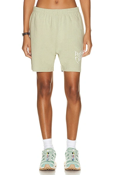 Museum Of Peace And Quiet Warped Sweat Shorts In Sage
