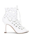 Manolo Blahnik Taralo Pointed Toe Cut-out Leather Pumps In White