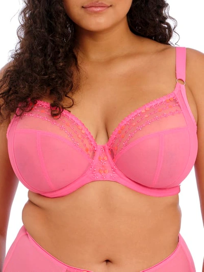 Elomi Matilda Full Figure Matilda Underwire Bra El8900, Online Only In Wild Cherry