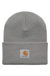 Carhartt Watch Hat In Marengo