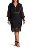 Tadashi Shoji Pleated Sequin Lace-trim Dress In Black