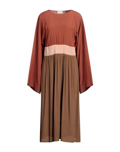 Semicouture Woman Midi Dress Brown Size 6 Acetate, Silk