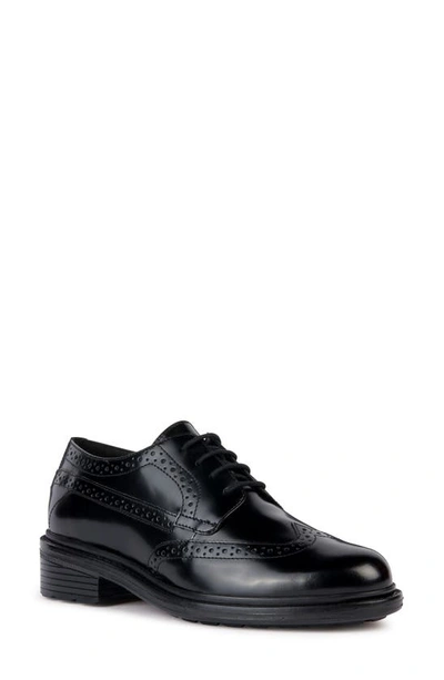 Geox Walk Pleasure Wingtip Derby In Black