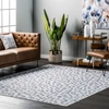 Nuloom Mason Machine Washable Contemporary Leopard Print Area Rug