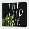 Curioos The Wild One