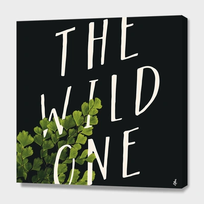 Curioos The Wild One