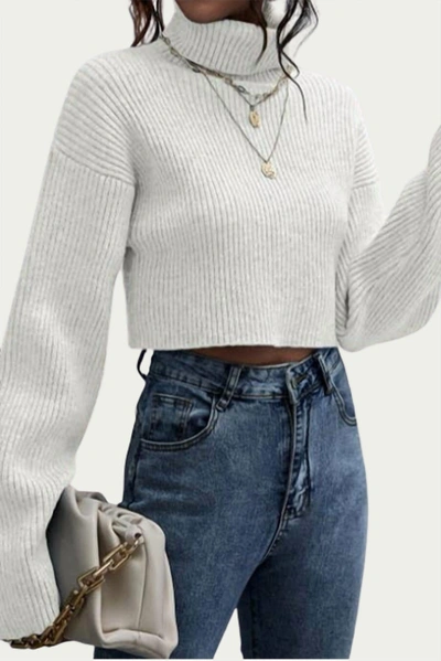 Trend Shop Ribbed-knit Cropped Turtleneck Sweater In Ivory In White